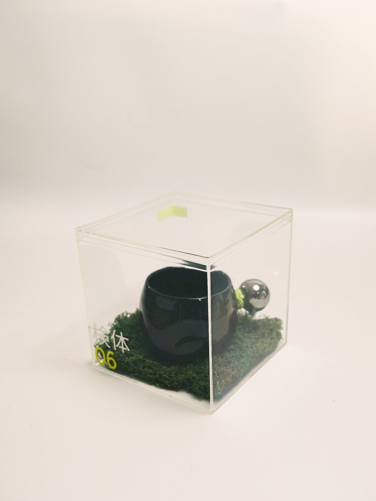 Specimen 06 - Intake Vessel