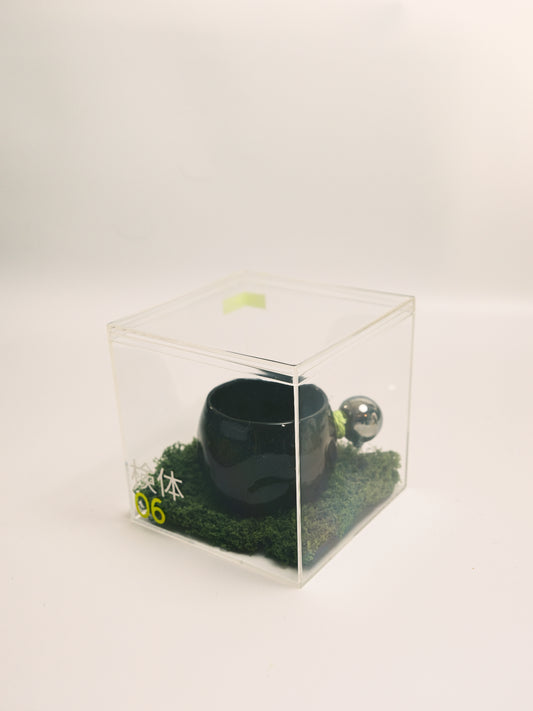 Specimen 06 - Intake Vessel