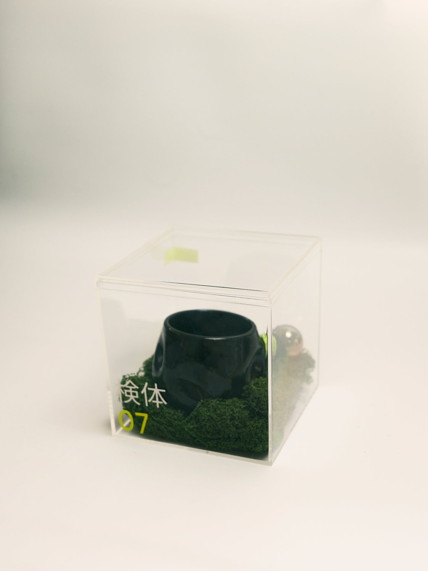 Specimen 07 - Intake Vessel