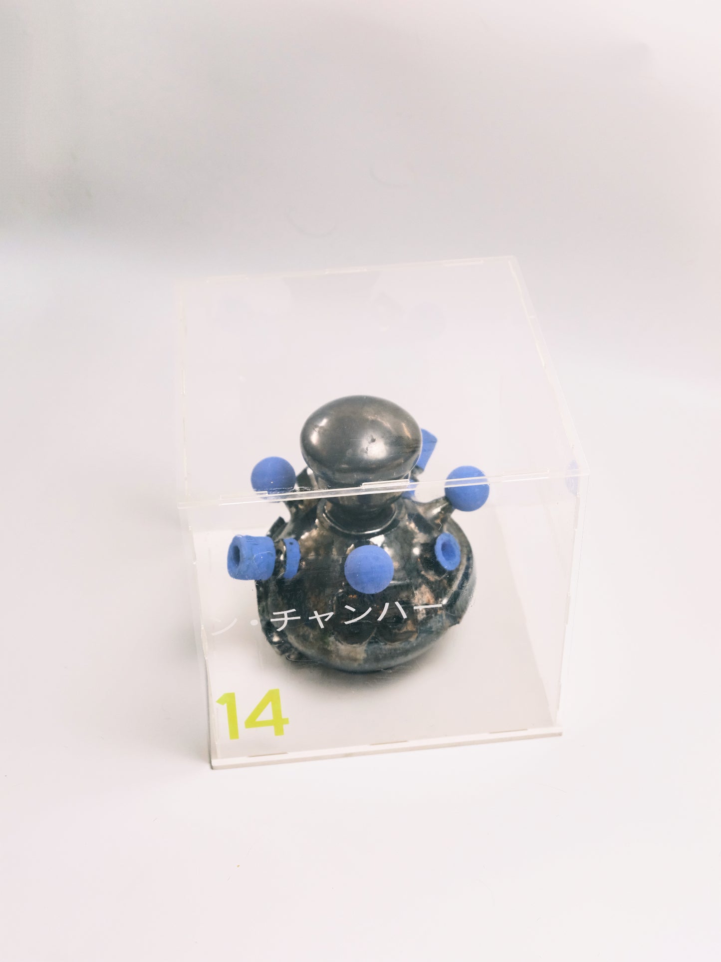 Specimen 14 - Distribution Chamber