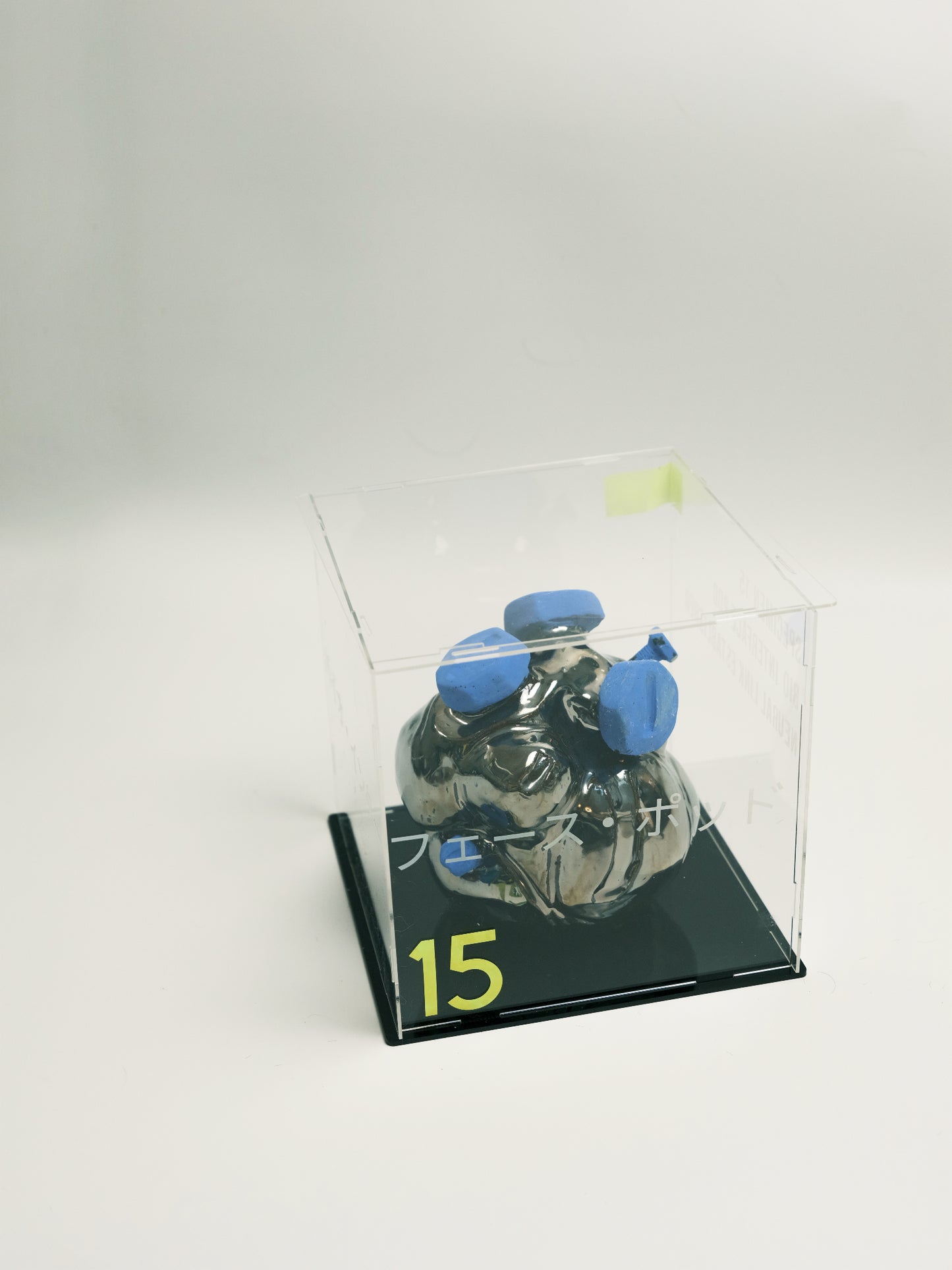 Specimen 15 - Bio-Interface Pod