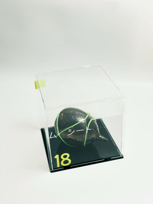 Specimen 18 - Quantum Seed