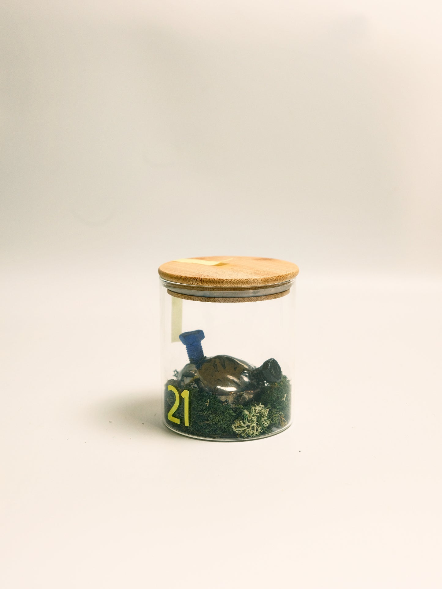 Specimen 21 - Memory Valve