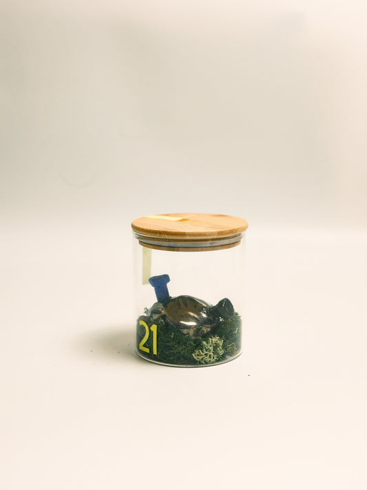 Specimen 21 - Memory Valve