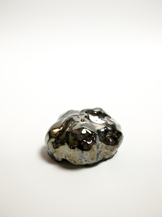 Specimen 01 - Pressure Cell