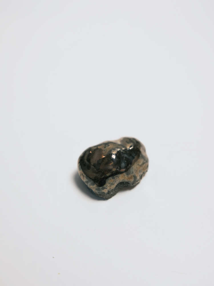 Specimen 04 - Pressure Cell