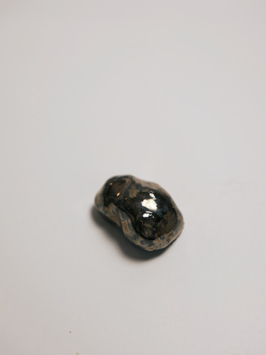 Specimen 04 - Pressure Cell