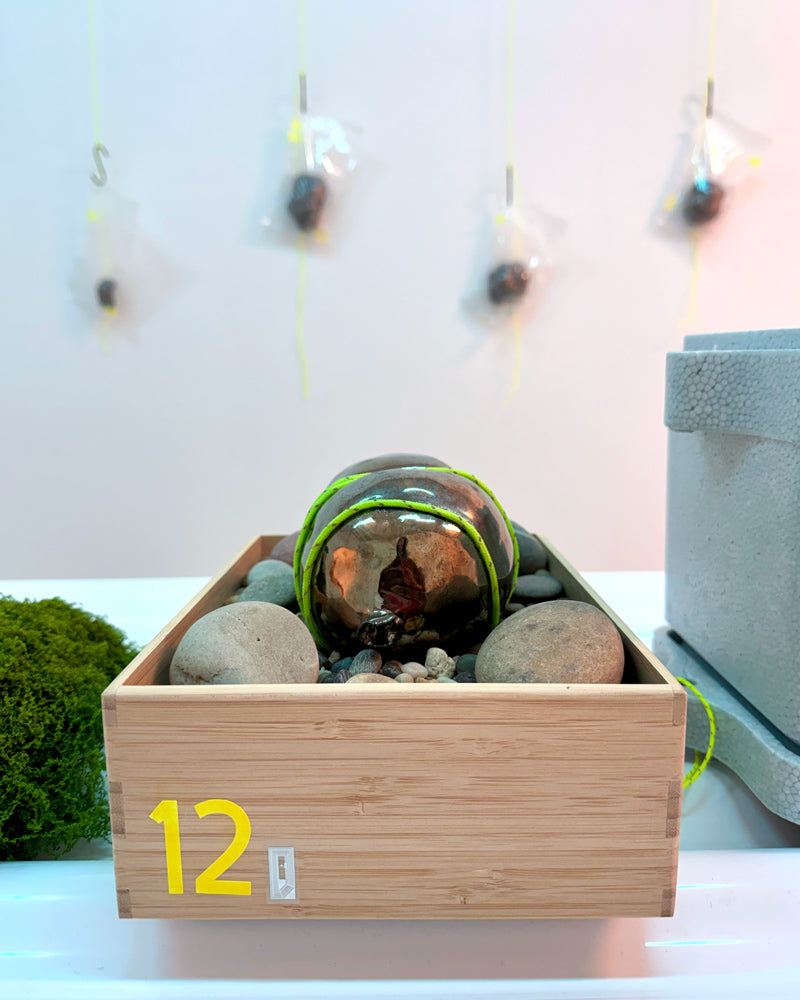 Specimen 12 - Stabilization Pod