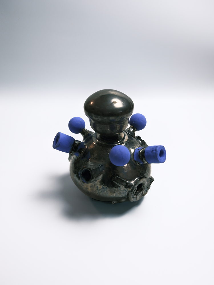 Specimen 14 - Distribution Chamber