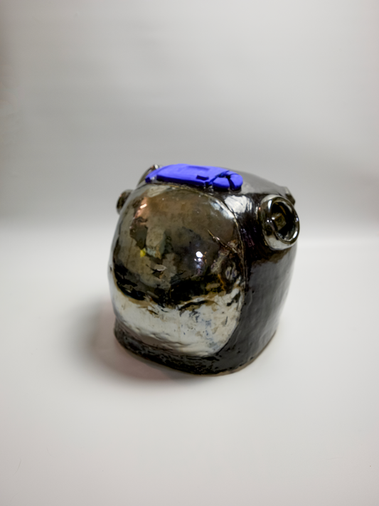 Specimen 19 - Fragment of a Forgotten Memory