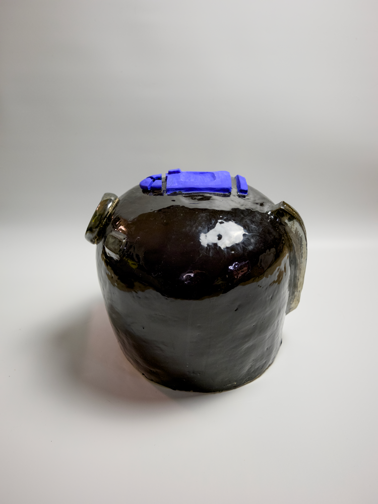 Specimen 19 - Fragment of a Forgotten Memory