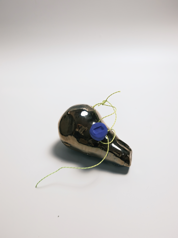 Specimen 20 - Echo Capsule