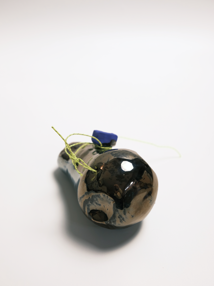 Specimen 20 - Echo Capsule