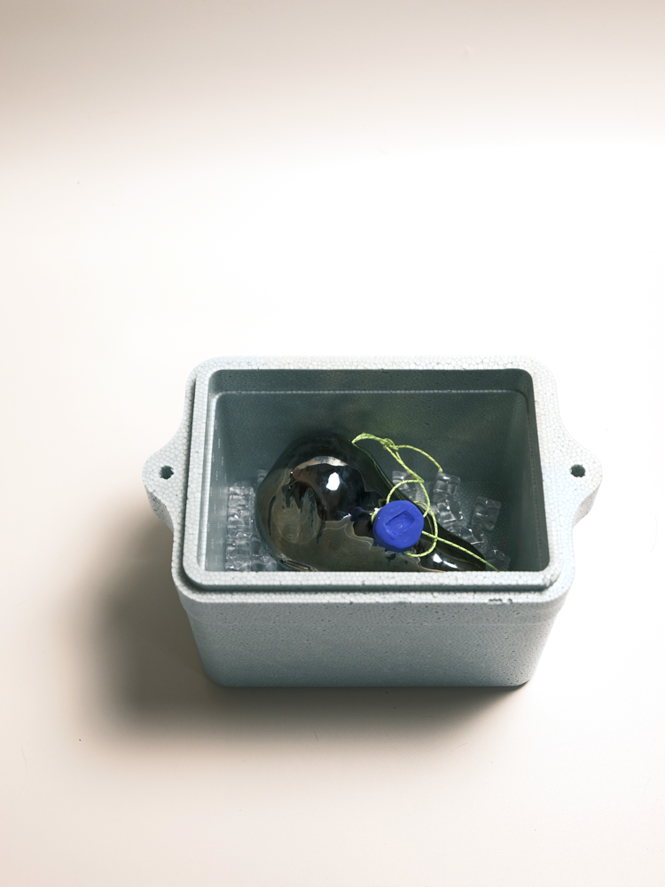 Specimen 20 - Echo Capsule