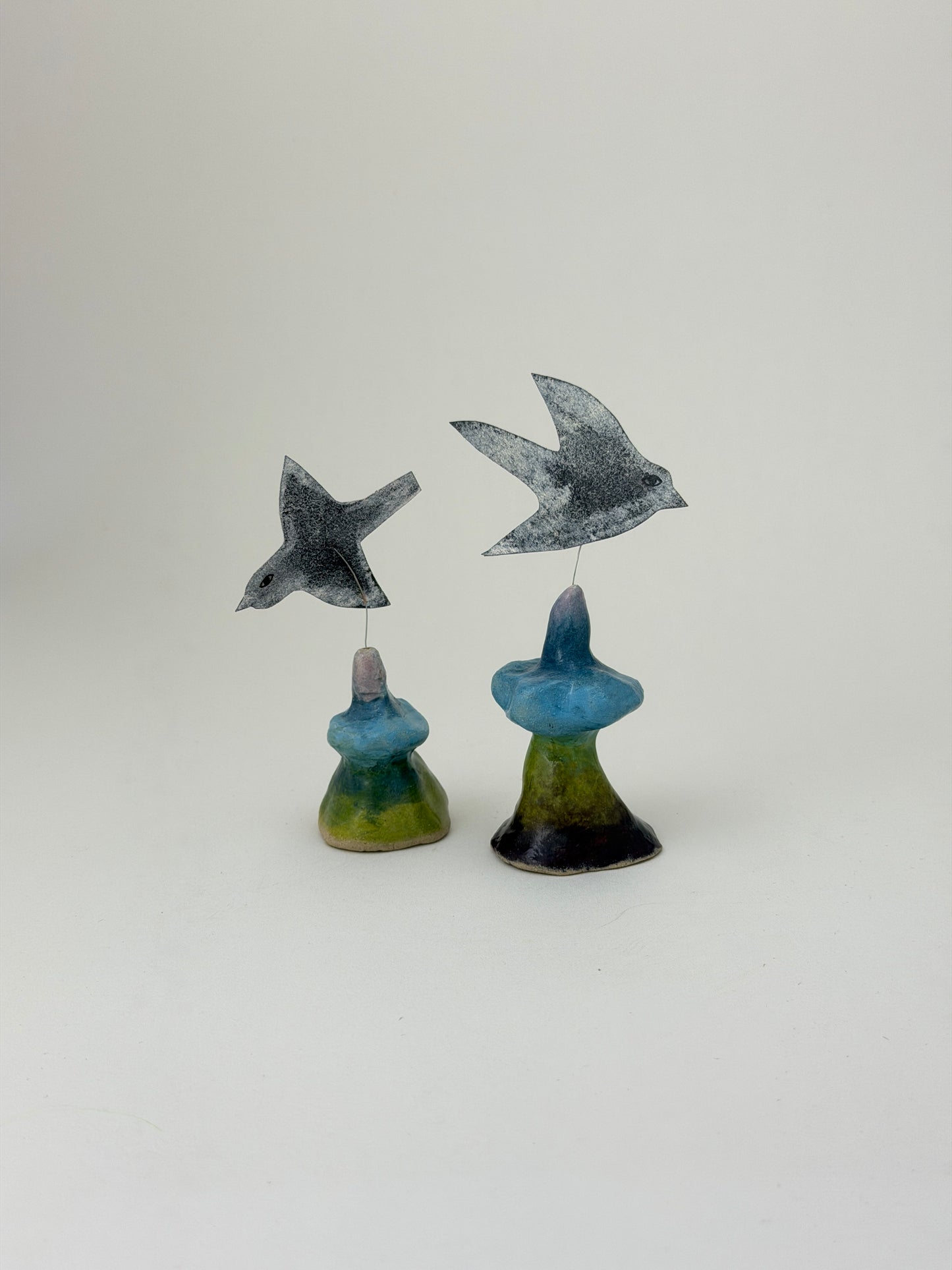 Volcanoes 1 - birds