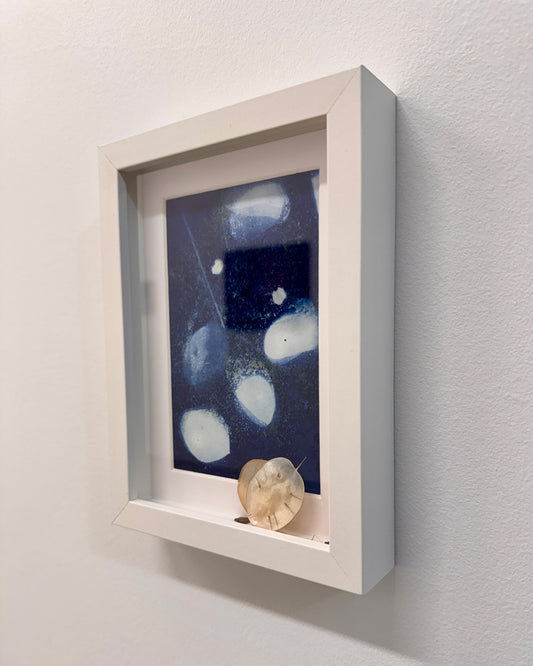 Art Swap - Valerie Durant - Money Tree Cyanotype