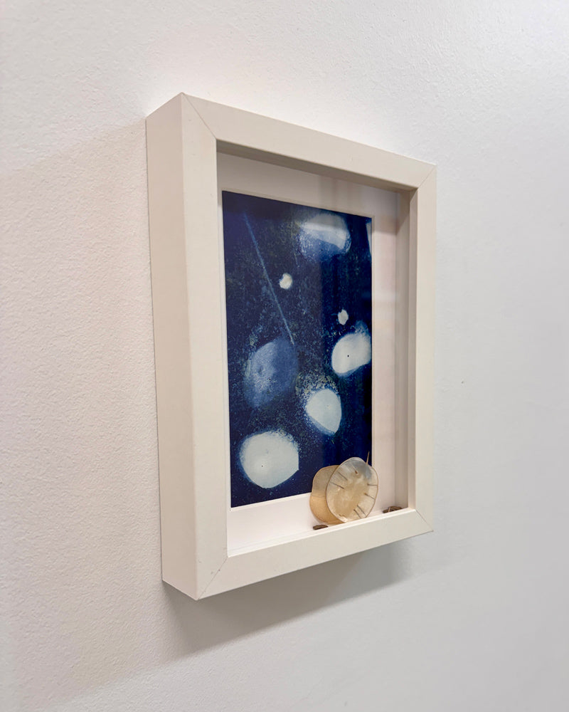 Art Swap - Valerie Durant - Money Tree Cyanotype