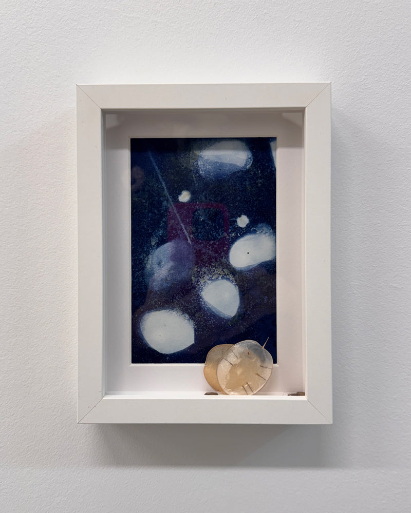 Art Swap - Valerie Durant - Money Tree Cyanotype